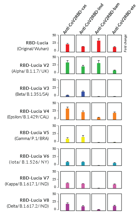 Luciferase based ELISA