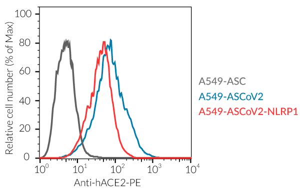 Cell surface expression of ACE2 (flow-cytometry)