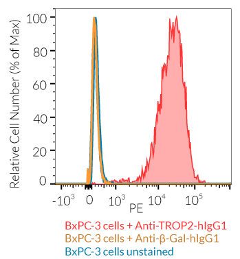 TROP2 cell surface staining