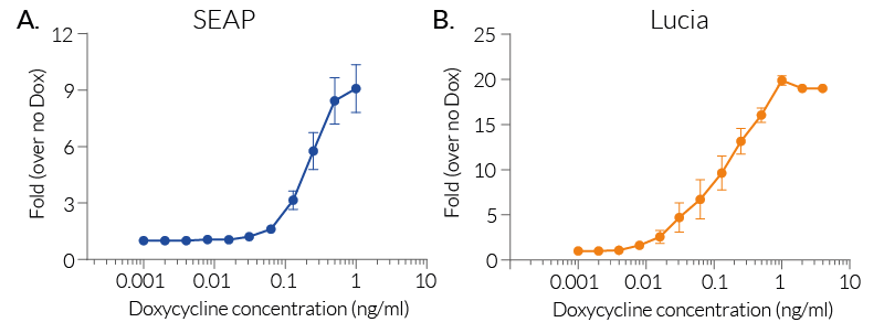 Doxycycline-mediated gene expression in A549-RepTor™ cells