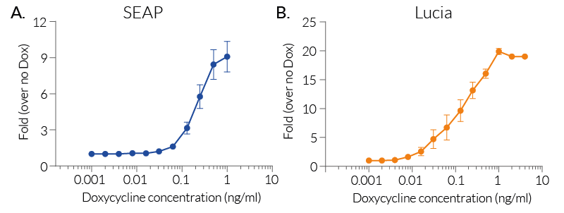 Inducible SEAP or Lucia expression in A549-RepTor™ cells