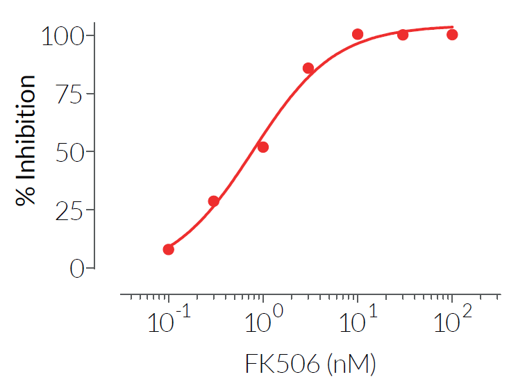 FK506 dose-dependent inhibition of calcineurin signaling