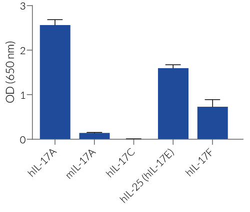 HEK-Blue™ IL-17 specificity