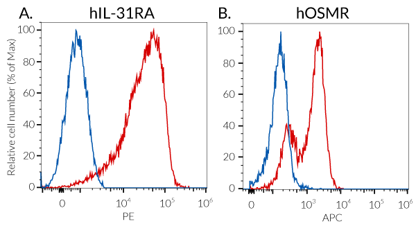 Validation of IL-31Rα and OSMRβ expression