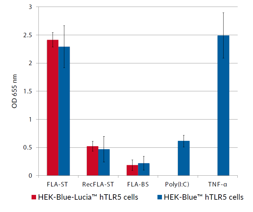 NF-κB - SEAP response