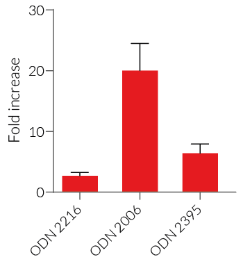 NF-κB (IL-8) - Lucia response