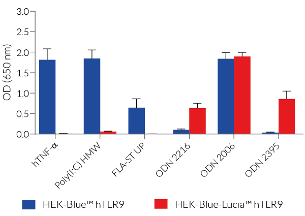 NF-kB - SEAP response