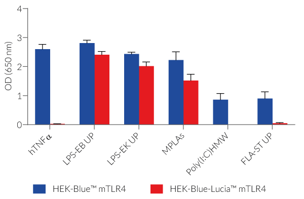 NF-κB - SEAP response