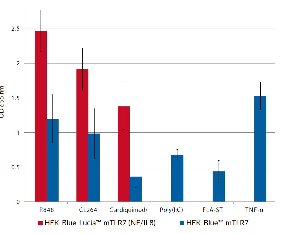 NF-κB - SEAP response