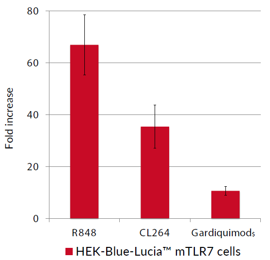 NF-κB (IL-8) - Lucia response