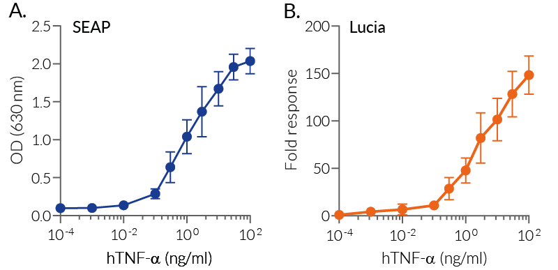 Dose response to human TNF-α (SEAP and Lucia)