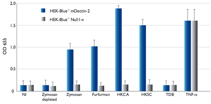 HEK-Blue™ mDectin-2 cells
