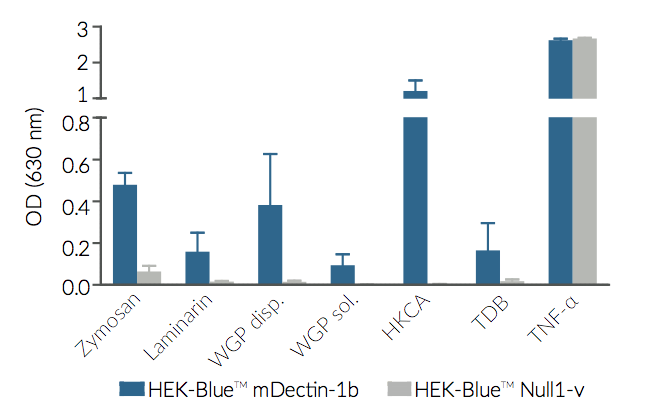 Evaluation of NF-κB responses in HEK-Blue™ mDectin-1b cells