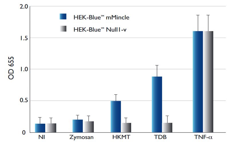 Response of HEK-Blue™ mMincle cells to CLR agonists