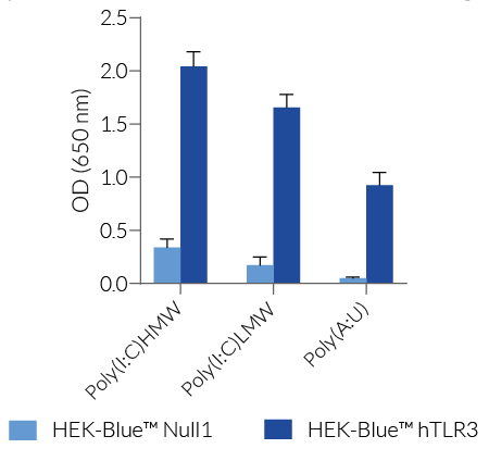 Response of HEK-Blue™-derived cells to TLR3 agonists