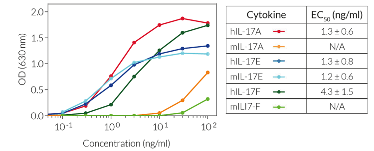 Evaluation of cellular response to IL-17 cytokines in HEK-Blue™ IL-17 Cells
