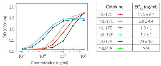 Evaluation of cellular response to IL-17 cytokines in HEK-Blue™ IL-17C Cells