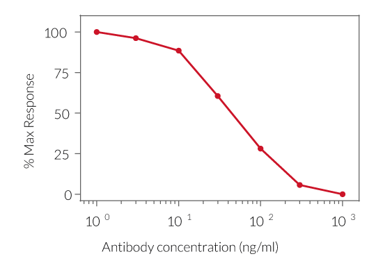 Human IL-1β signaling inhibition