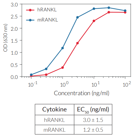 Evaluation of RANKL response in HEK-Blue™ RANKL Cells
