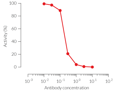 Neutralization of cellular response to RANKL using denosumab biosimilar