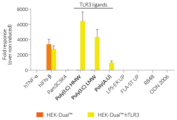 IRF responses in hTLR3-expressing HEK-Dual™ -derived cells