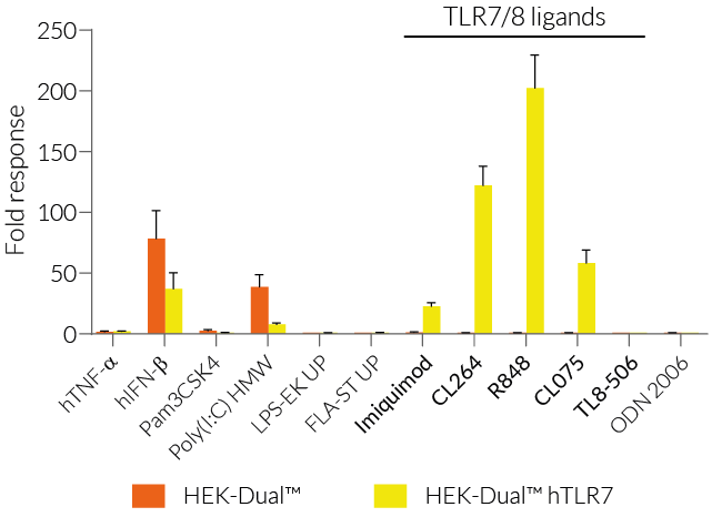 IRF responses in hTLR7-expressing HEK-Dual™-derived cells