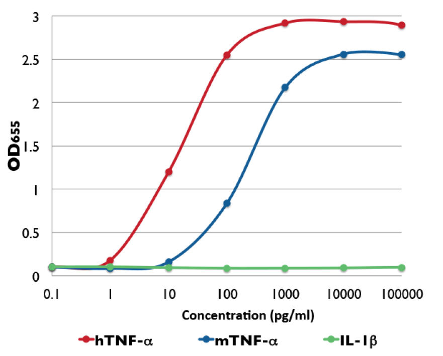 Response of HEK-Blue™ TNF-α cells to human and murine TNF-α