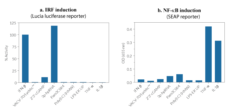Evaluation of IRF- and NF-κB-induced responses