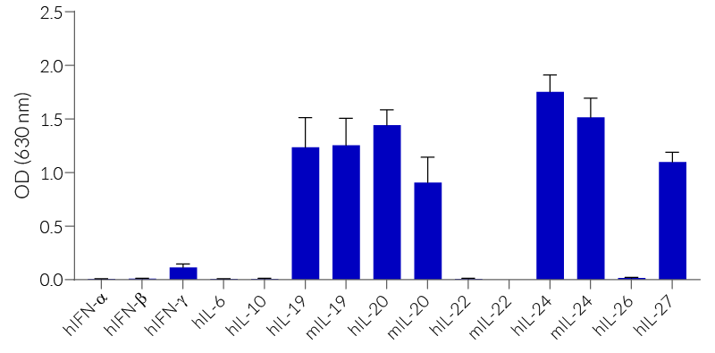 Cytokine response profile of HEK-Blue™ IL-19/IL-20 cells
