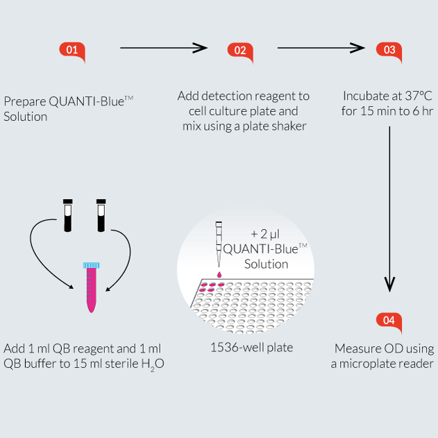 QUANTI-Blue™ High Throughput Screening (HTS) procedure