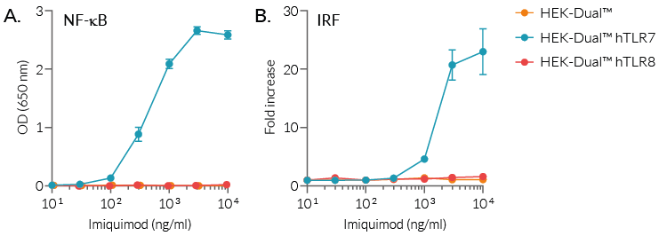 NF-κB and IRF responses of HEK-Dual™-derived cells to imiquimod