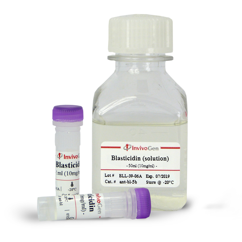 Blasticidin Solution by InvivoGen
