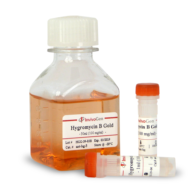 Hygromycin B Gold™ by InvivoGen
