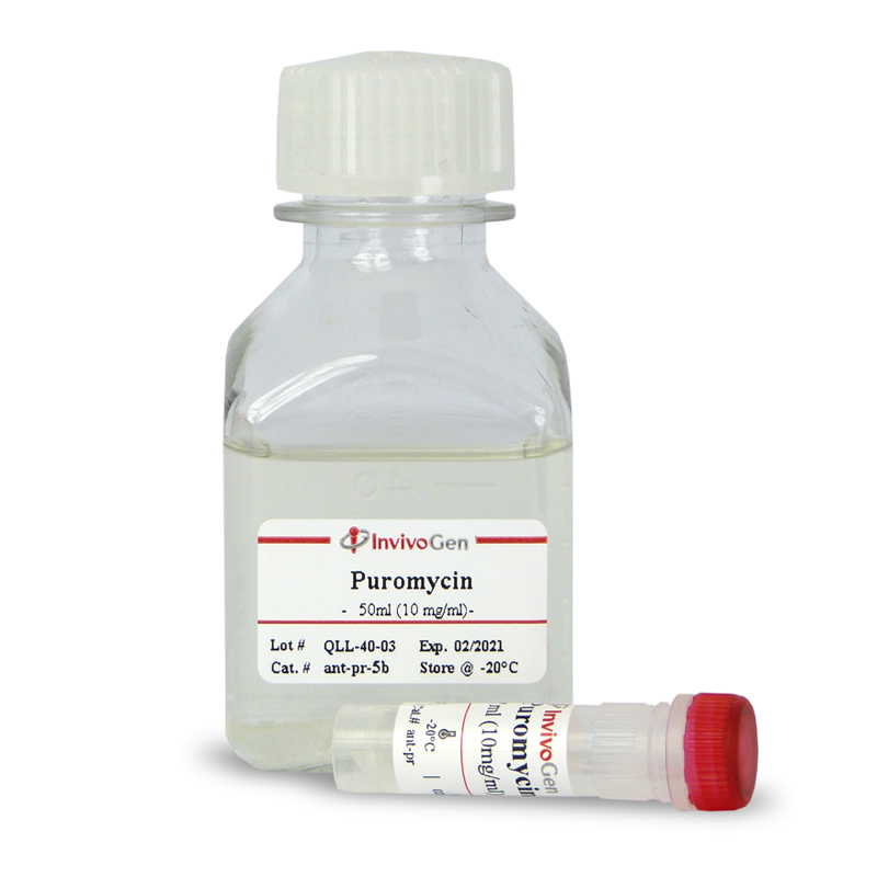 Puromycin by InvivoGen