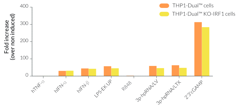 Functional validation of IRF1 knockout (IRF response)