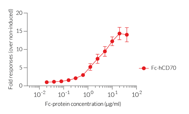 Activation of Jurkat-Lucia™ hCD27 cells using a CD27 agonist