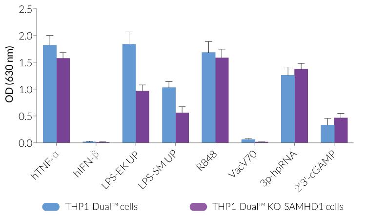 Functional validation of SAMHD1 knockout (NF-κB response)