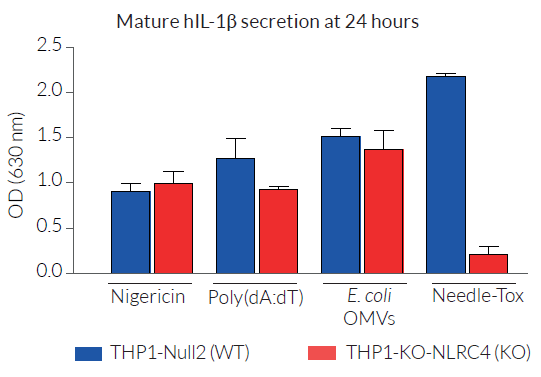 Functional validation of LFn-Needle using THP1-derived cells