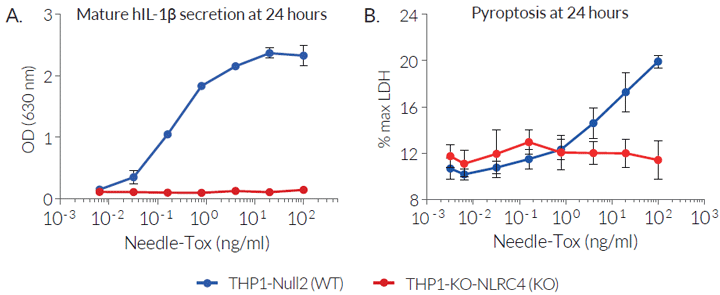 Human NLRC4 inflammasome response to LFn-Needle