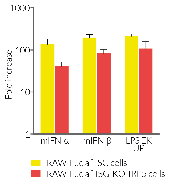 Type I interferon-or LPS-induced IRF response in RAW-Lucia™ ISG-derived cells