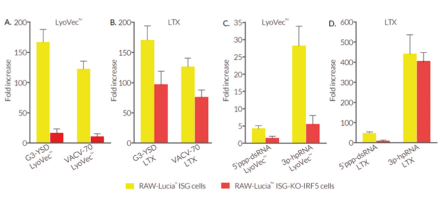 DNA- or RNA-induced IRF response in RAW-Lucia™ ISG-derived cells