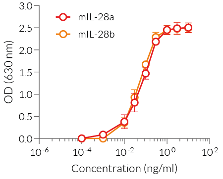 Dose-response of HEK-Blue™ IFN-λ cells to murine recombinant type III IFNs