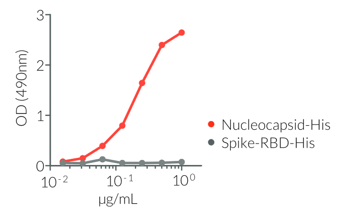 Recognition of Nucleocapsid-His by anAnti-SARS-CoV-Nucleocaspid mouse IgG1