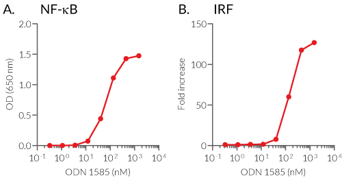 NF-κB and IRF responses of ODN 1585 in THP1-Dual™ hTLR9 cells