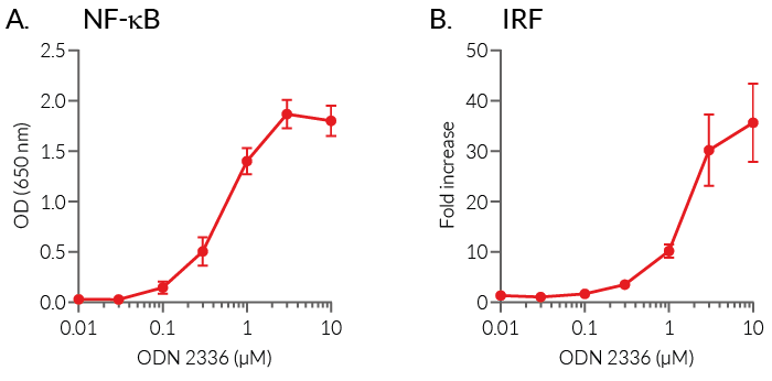 NF-κB and IRF responses induced by ODN 2336