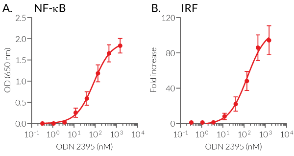 NF-κB and IRF response upon ODN 2395 stimulation