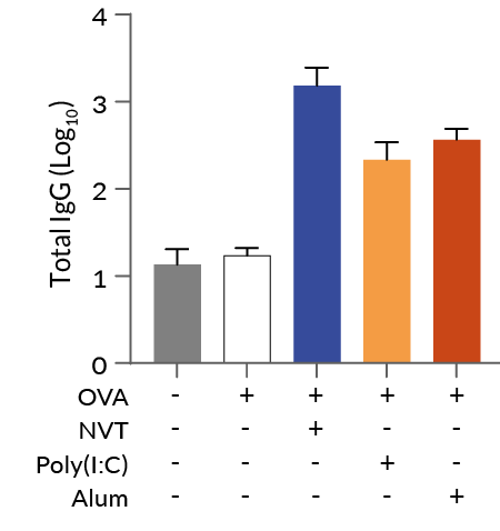 IgG level in serum of mice after intramuscular administration