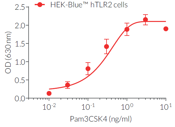Evaluation of NF-κB activation with Pam3CSK4