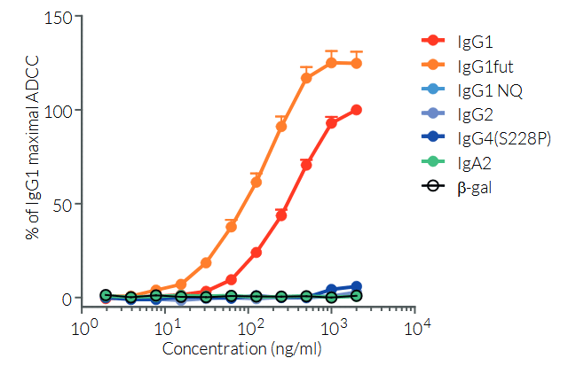 ADCC assay using various anti-human CTLA-4 (Ipilimumab) antibody isotypes and Raji-hCTLA4 target cells