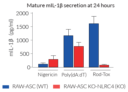 Functional validation of RAW-ASC KO-NLRC4 cells